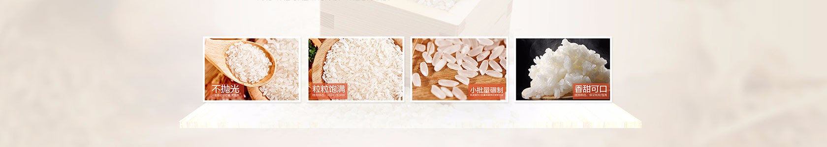 上海市浦东新区嘉信仓储有限公司